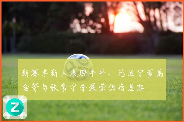 新赛季新人表现平平，范泊宁董禹含等与张常宁李盈莹仍存差距