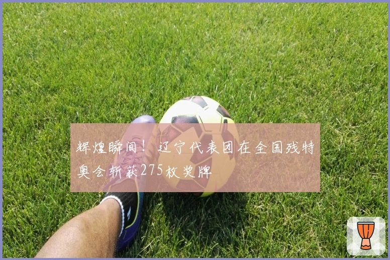 辉煌瞬间！辽宁代表团在全国残特奥会斩获275枚奖牌